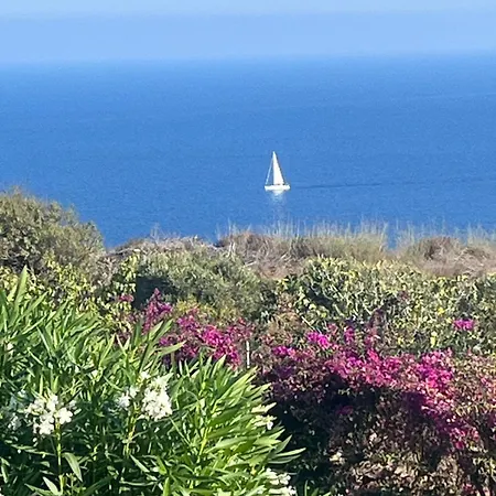 Judy House Dom wakacyjny