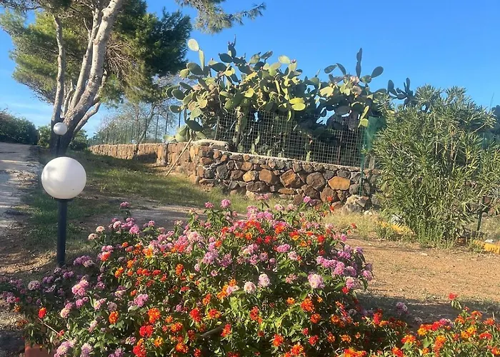 Judy House Holiday home *